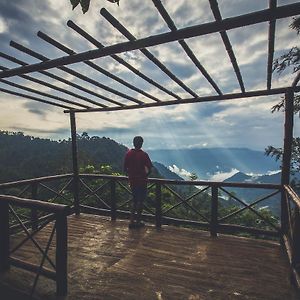 After The Rains - Rainforest Lodge